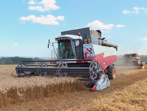 Сбор зерновых в Калужской области выполнен на 17%