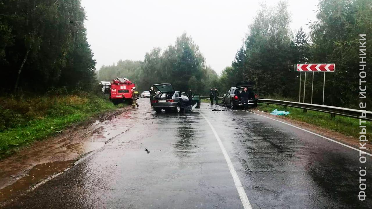 В ДТП на встречной в Тарусском районе погиб водитель авто