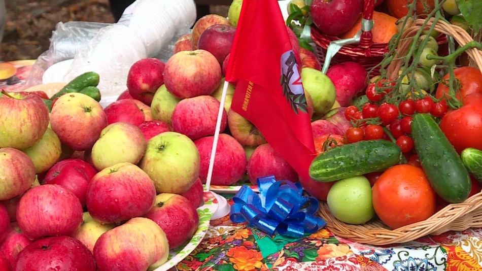 яблоки-ярмарка-0819.jpg