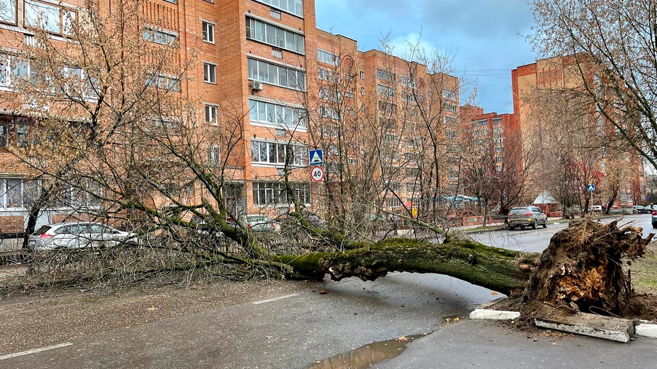 Огарева 13 калуга фото