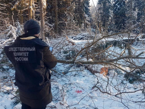 Мужчина погиб при опиловке деревьев в Боровском районе