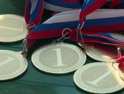 Пять медалей первенства ЦФО завоевали самбисты в Можайске