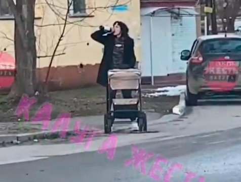 МВД изучит информацию о пьющей алкоголь женщине с коляской на Малинниках