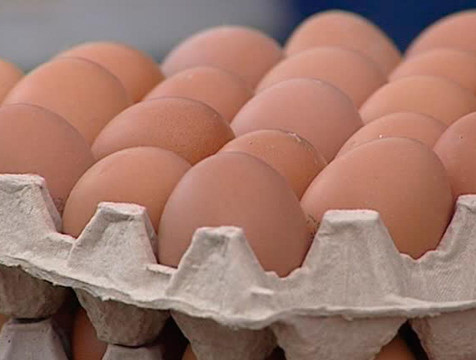 Тарусская птицефабрика планирует произвести 77 миллионов яиц за год