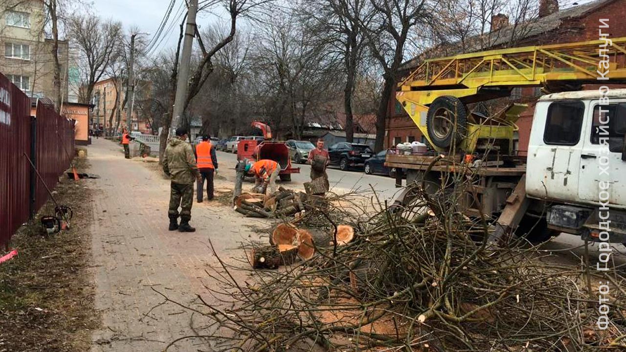 На улице Тульской в Калуге началась обрезка деревьев