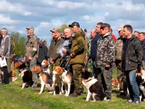 Команда Сухиничского района победила в межрайонной выставке охотничьих собак