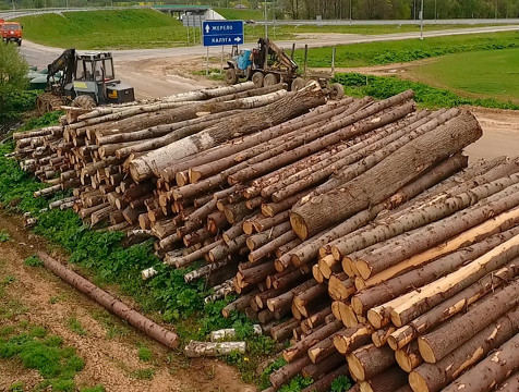 Неизвестные вырубили деревья в охраняемом лесничестве Калужской области