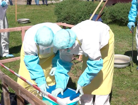 Меры по предотвращению вспышек АЧС усилены в Калужской области