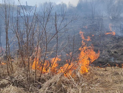 Штрафы за пал травы на приусадебных участках увеличат в Калужской области