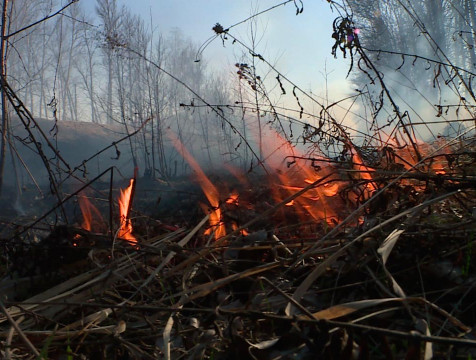 Третий класс пожарной опасности установлен в Калужской области