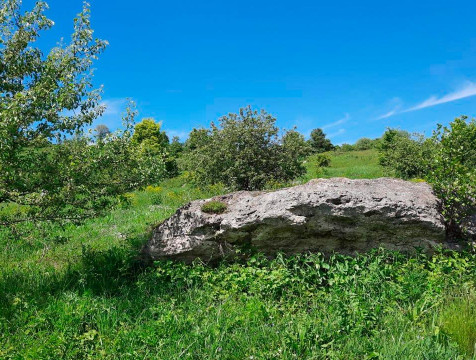 Охраняемую территорию источников у села Гремячево увеличили до 26,3 гектара
