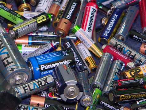 Ради спасения ежей калужане собрали свыше 4 тонн батареек