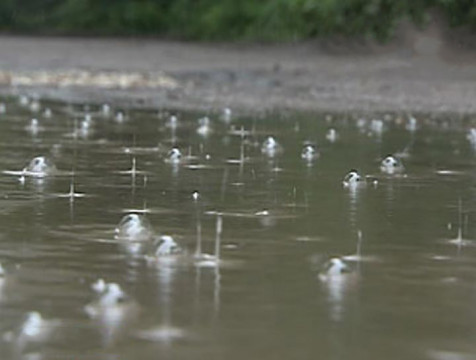 Дождь с градом прошел в Калуге