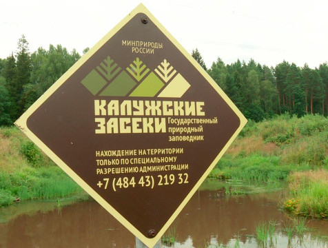 Юннаты подсчитали количество птиц в 