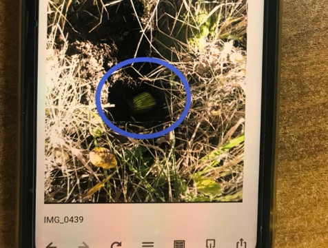 За попытку сбыта наркотиков калужанин получил 5 лет строгого режима