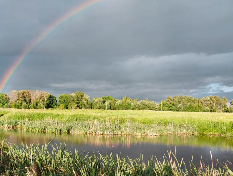 39-летний мужчина утонул в пожарном пруду