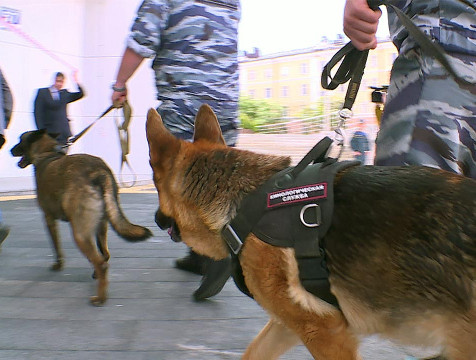 Сообщения о минировании спортивных объектов в Калуге оказались ложными