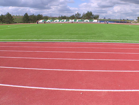 В сквере Волкова откроют стадион и отметят Всероссийский олимпийский день