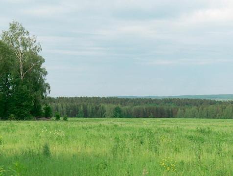 Бывший арендатор похитил муниципальные земли с помощью мошенничества