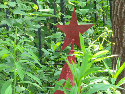 9 июля солдатские могилы будут искать и восстанавливать на Пятницком кладбище