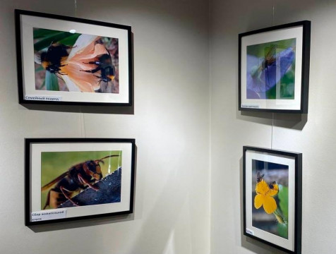 Фотовыставка о дикой природе региона открылась в Калуге