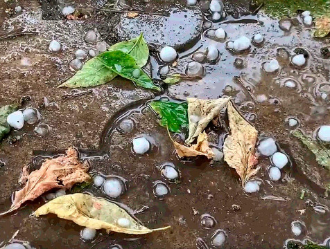 Жителей Калужской области предупреждают о грозе с градом