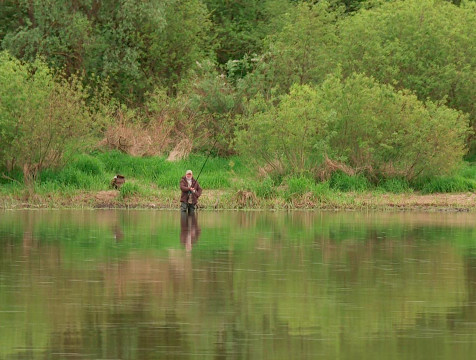 В людиновской Болве зафиксирована массовая гибель рыбы