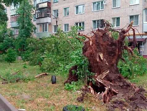 Два человека получили травмы во время вечернего урагана в Калуге