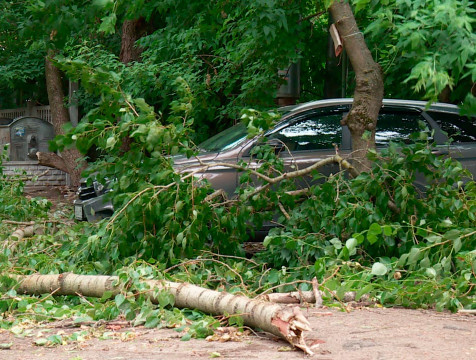 МЧС предупредило о возможных грозах 12 июля