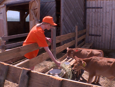 Аграрные предприятия региона приняли волонтеров проекта 