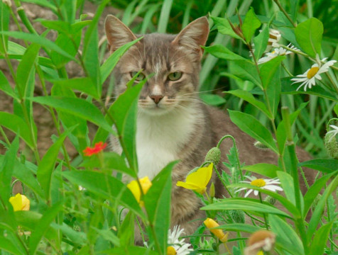 Более 300 горожан подали заявки на конкурс 