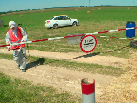 Еще в трех районах области могут выявить очаги птичьего гриппа