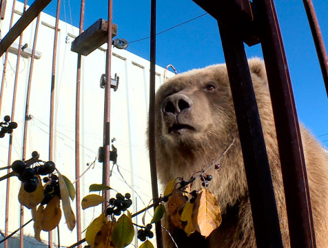 Центр реабилитации 