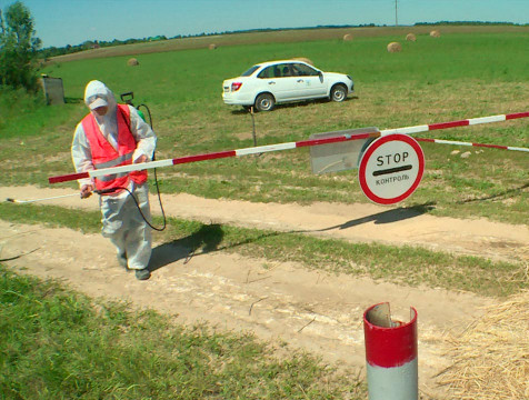 Одиннадцатый очаг птичьего гриппа выявили в Калужской области