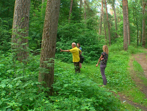 О проблемах калужского бора рассказали экологи