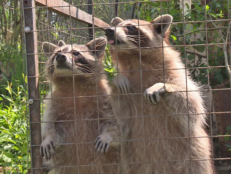 Центр реабилитации 