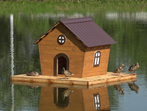 Завершается очередной этап благоустройства пруда на улице Пухова в Калуге