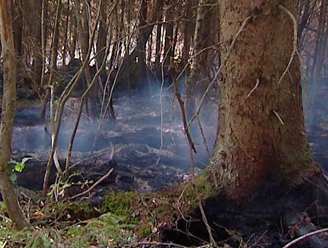 Всего один лесной пожар случился в Калужской области с начала года