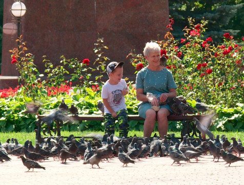 Прохлада вновь сменится жарой к концу недели