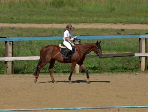 32 спортсмена соревновались в первенстве Калужской области по конному спорту