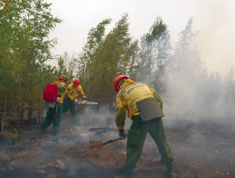 Рязанские пожары помогают тушить специалисты шести регионов России