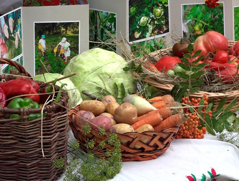 Садоводы и огородники удивили урожаем на ежегодной малоярославецкой выставке