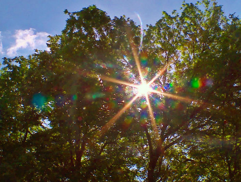 МЧС Калужской области предупреждает об аномальной жаре