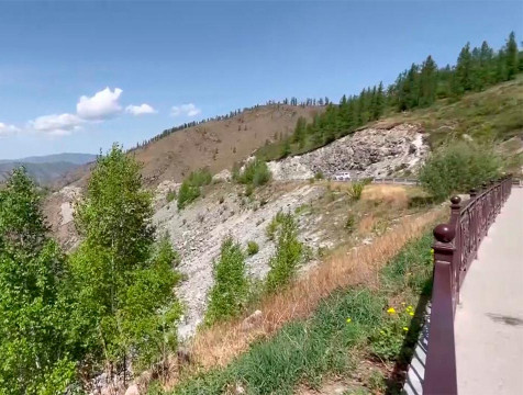 На фестивале 