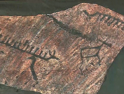 Сюжет о карельских петроглифах стал конкурсной работой фестиваля 