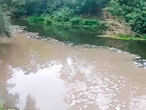 Река Протва в черте Обнинска пополнилась грязными стоками