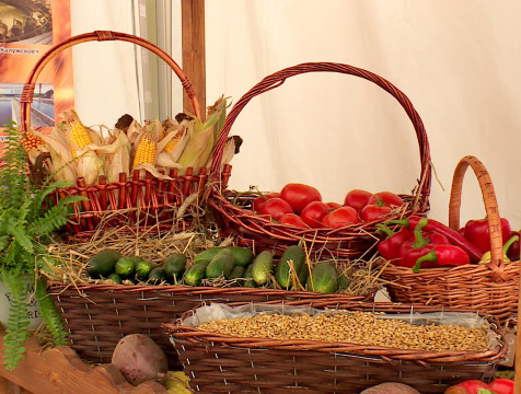 80 аграриев региона представят свою продукцию на ярмарке 