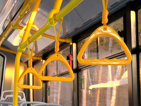 Женщину с собакой-поводырем не пустили в автобус