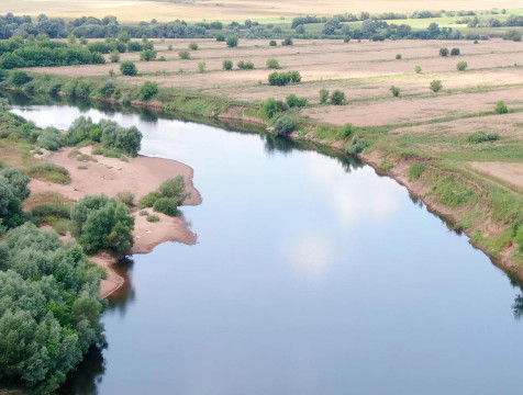 IV Всероссийский экологический диктант стартует в Калужской области с 11 ноября