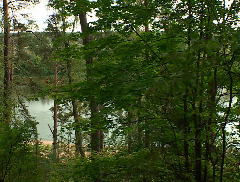 Высший уровень пожароопасности сохранится по Малоярославецкому району 7 сентября